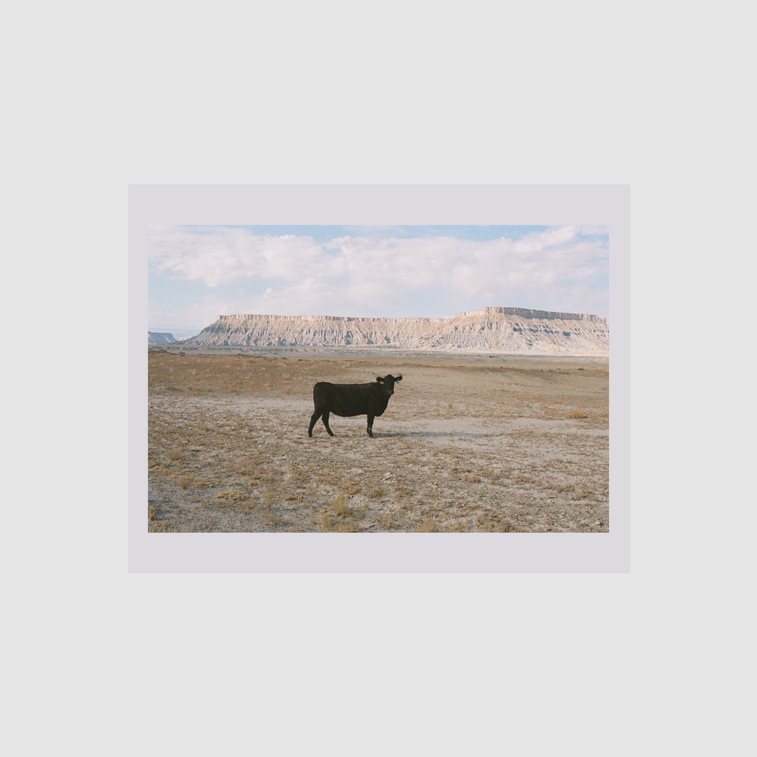 Plains Set by Adam Brierley & Jan Lashly
