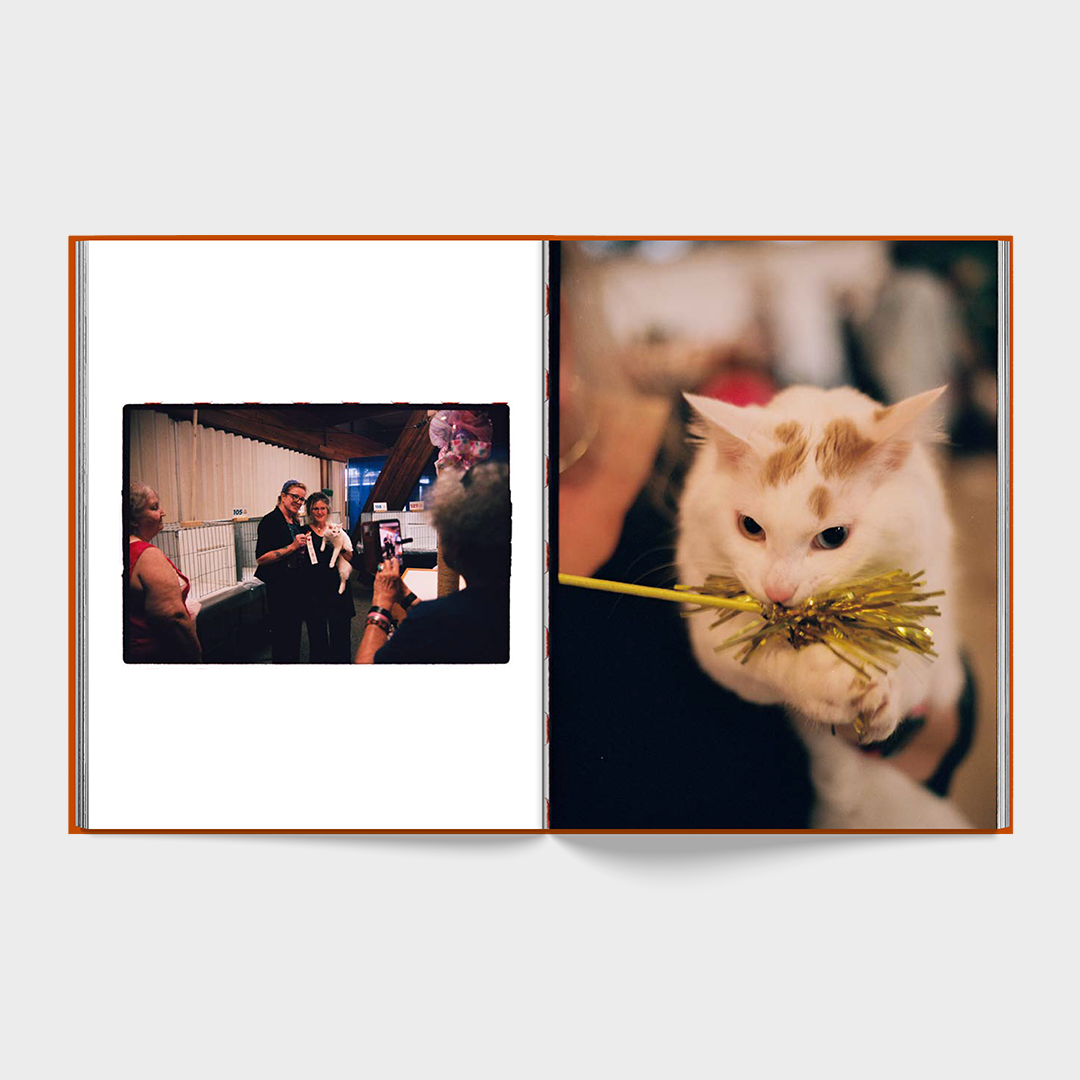 Matthew Kaplan - The Cat Club